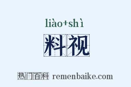 料视是什么意思的图片